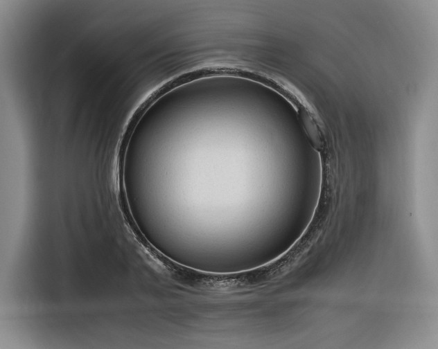 X0000116310791200912071307