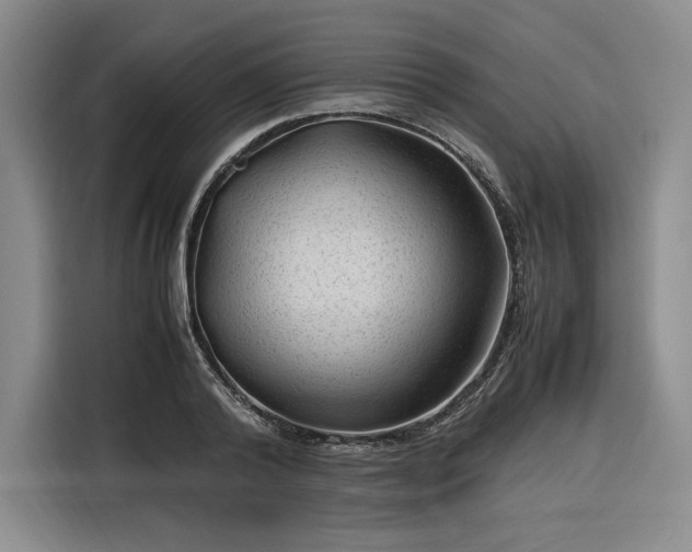 X0000116310792200912071307