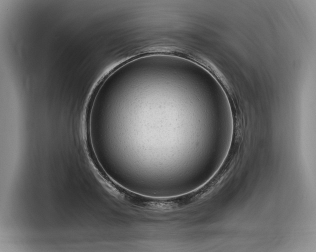 X0000116310795200912071307