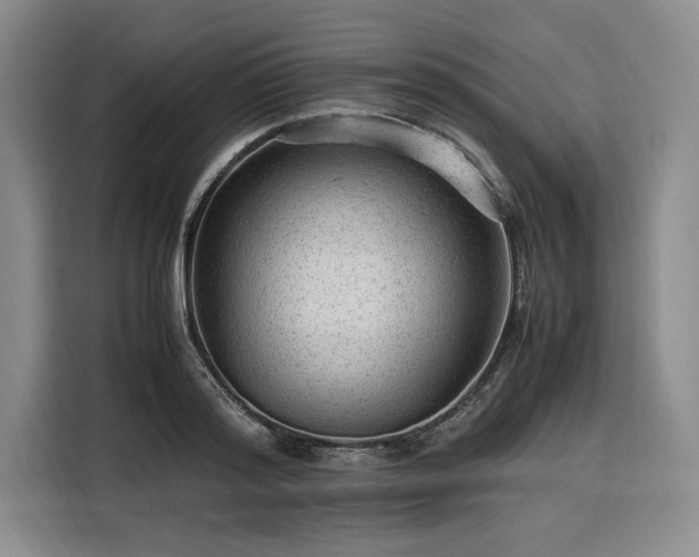 X0000116310796200912071307