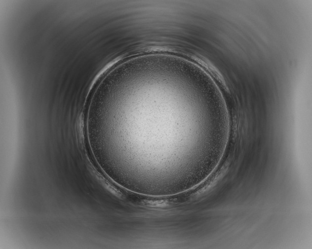 X0000116310798200912071307