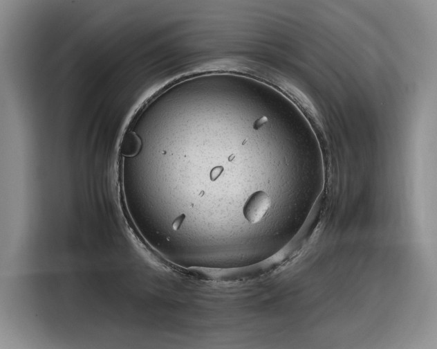 X0000116310800200912071307