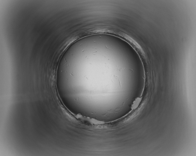 X0000116310801200912071307