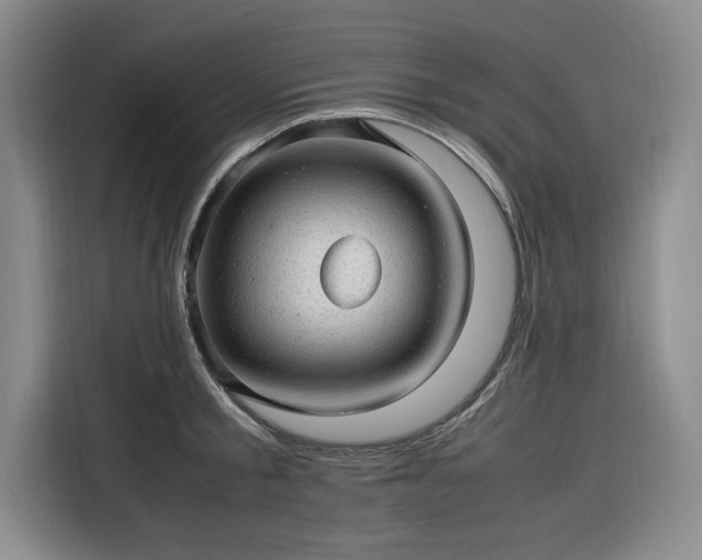 X0000116310805200912071307