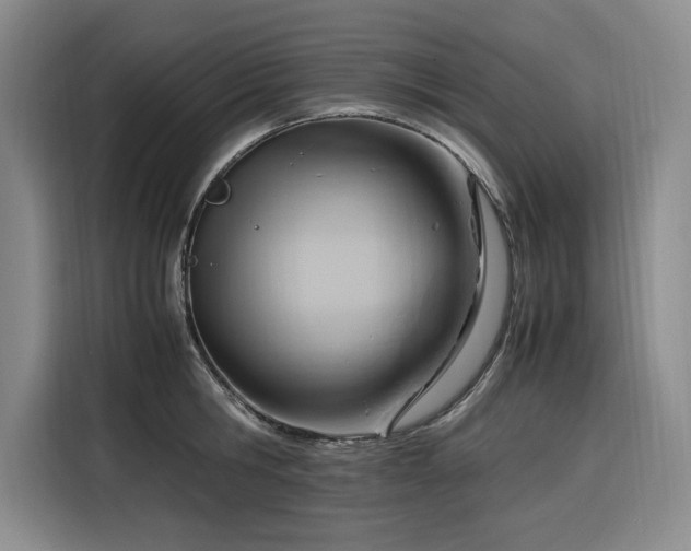 X0000116310806200912071307