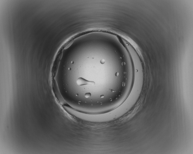 X0000116310807200912071307