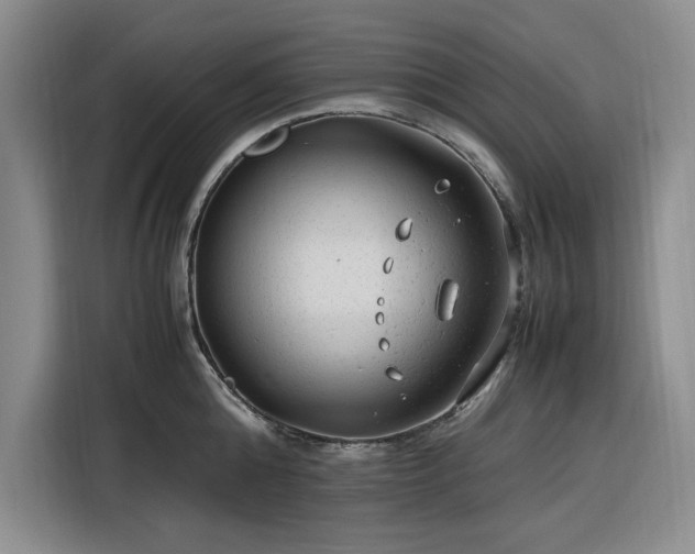 X0000116310808200912071307