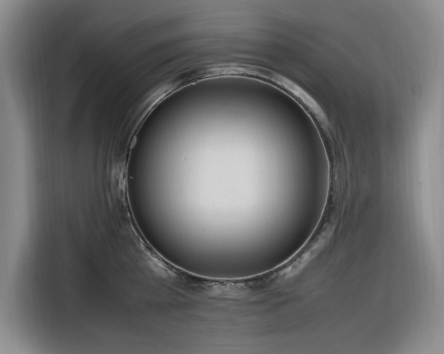 X0000116310809200912071307