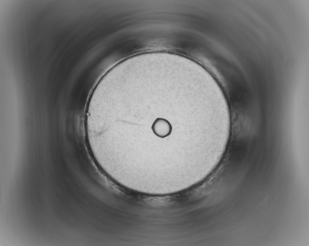 X0000116310810200912071307