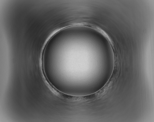 X0000116310811200912071307