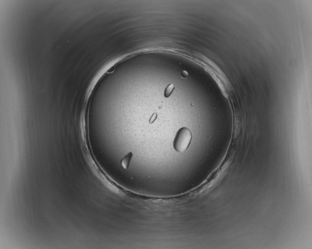 X0000116310812200912071307