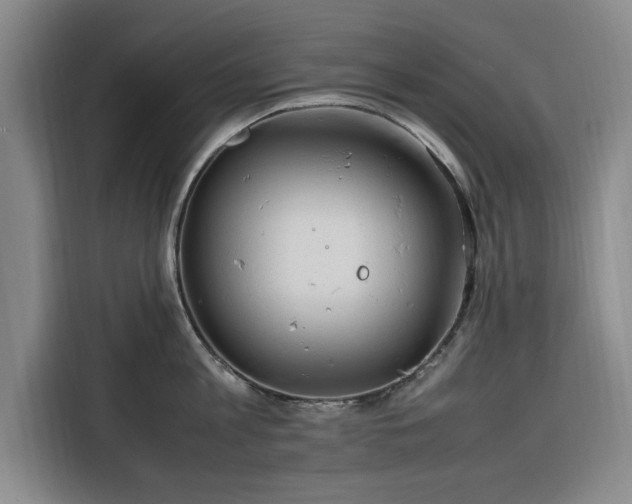 X0000116310813200912071307