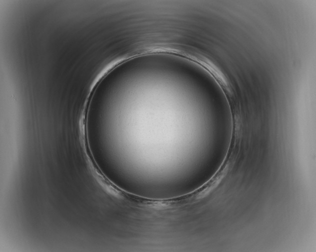 X0000116310814200912071307