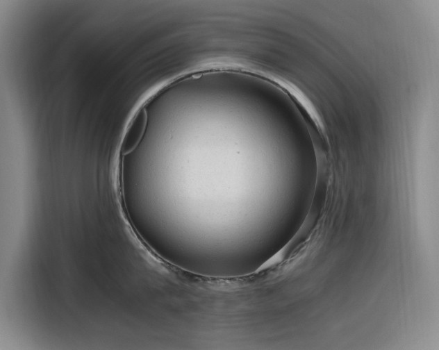 X0000116310815200912071307