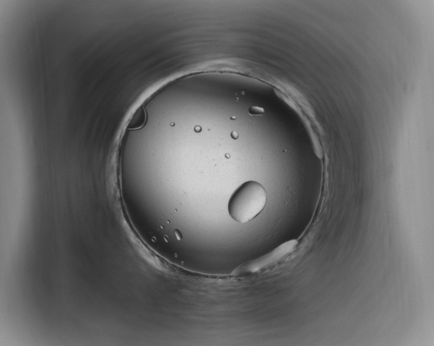 X0000116310816200912071307