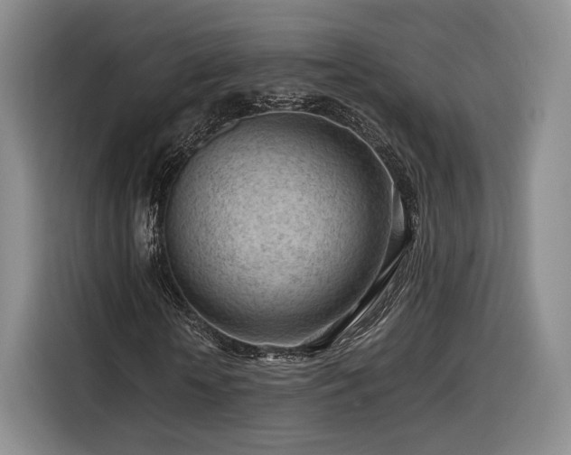 X0000116310818200912071306