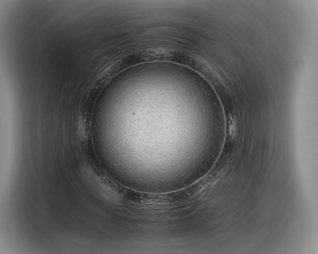 X0000116310819200912071306