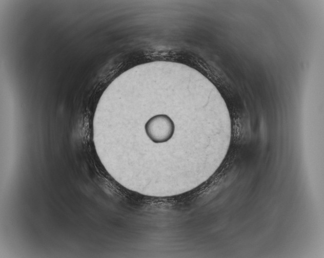 X0000116310820200912071306