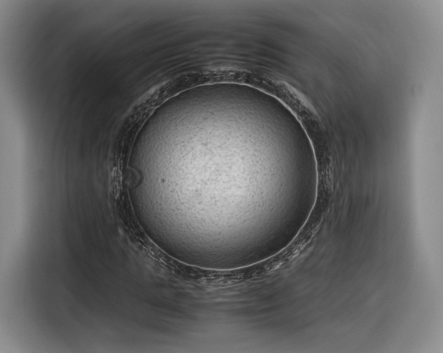 X0000116310821200912071306