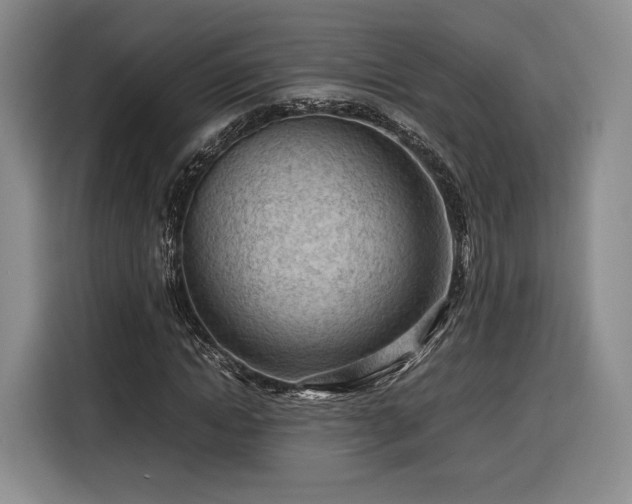 X0000116310822200912071306