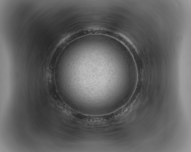 X0000116310823200912071306