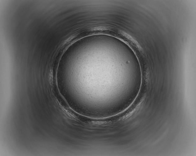 X0000116310825200912071307