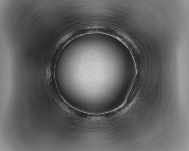 X0000116310826200912071307