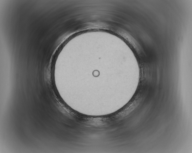 X0000116310828200912071307