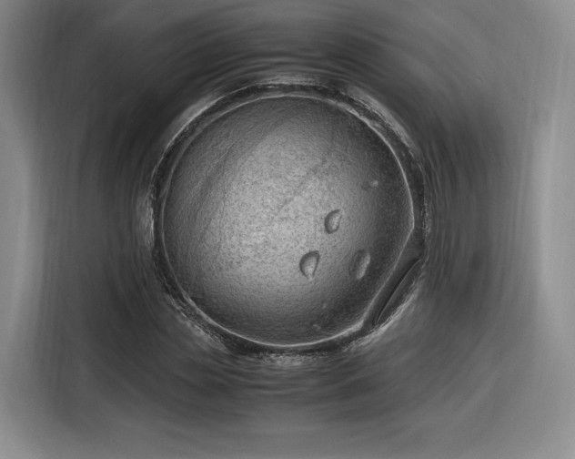 X0000116310829200912071307