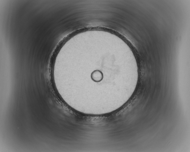 X0000116310832200912071307