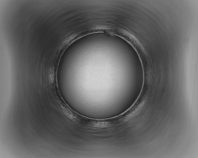 X0000116310833200912071307