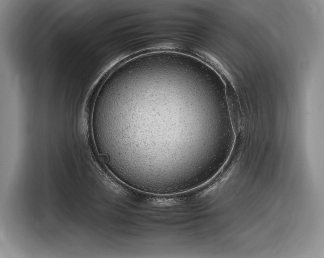 X0000116310835200912071307