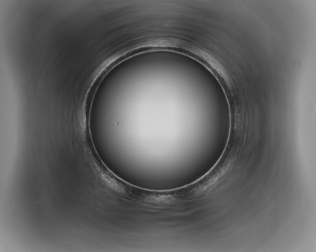 X0000116310837200912071307