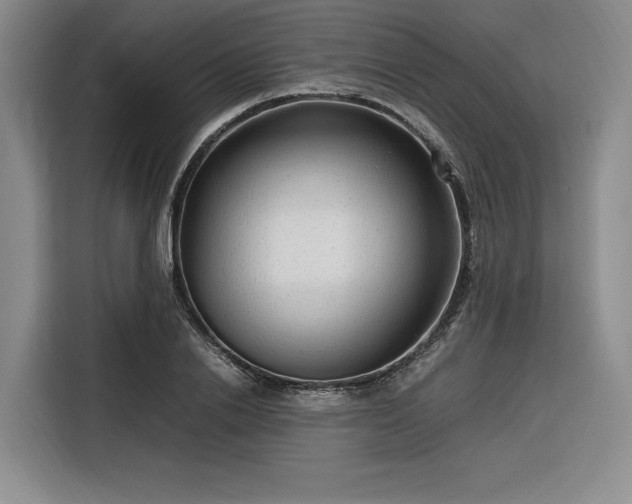 X0000116310838200912071307