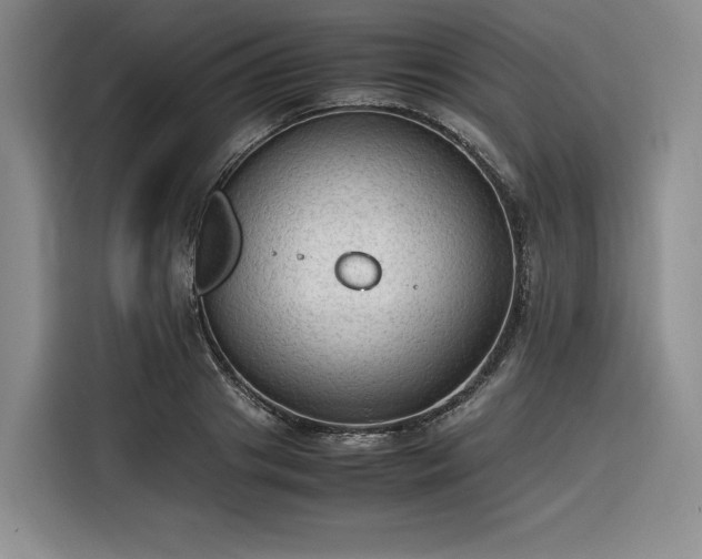 X0000116310841200912071307