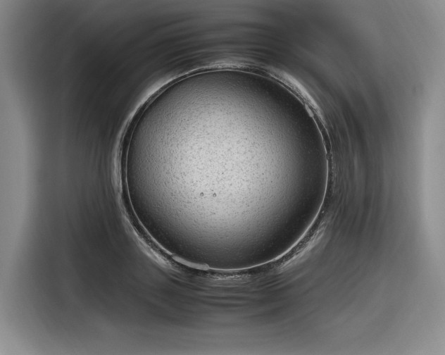 X0000116310843200912071307