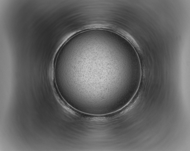 X0000116310844200912071307