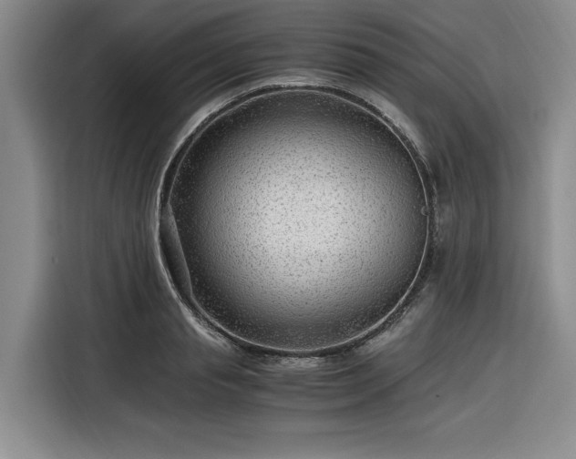 X0000116310845200912071307