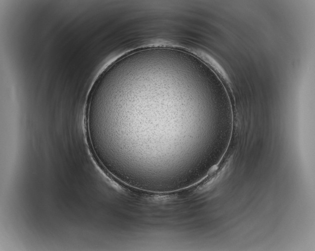 X0000116310847200912071307