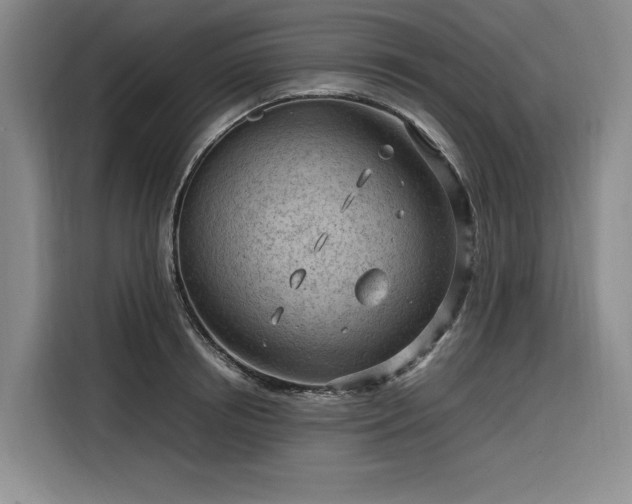 X0000116310850200912071307