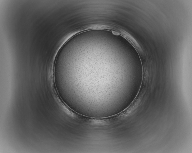 X0000116310852200912071307