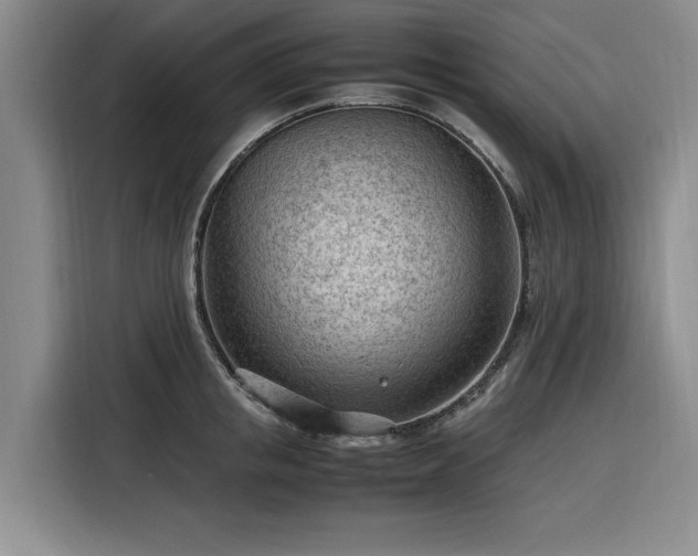 X0000116310853200912071307