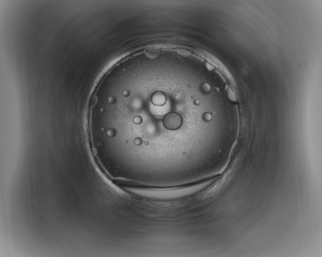 X0000116310855200912071307