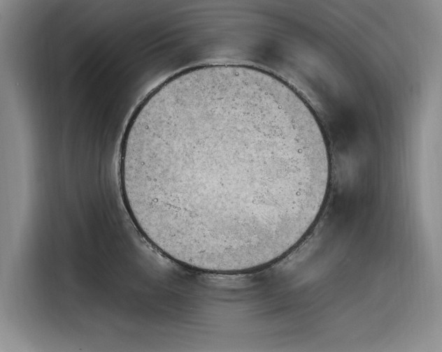 X0000116310856200912071307