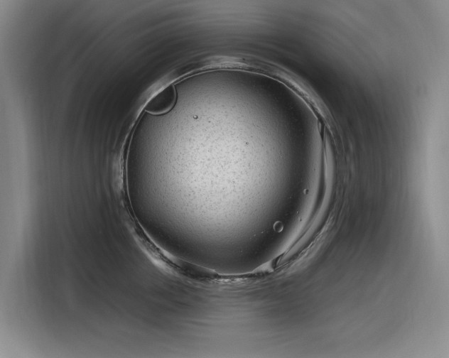 X0000116310858200912071307