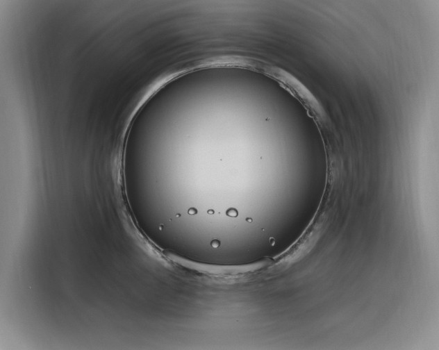 X0000116310860200912071307