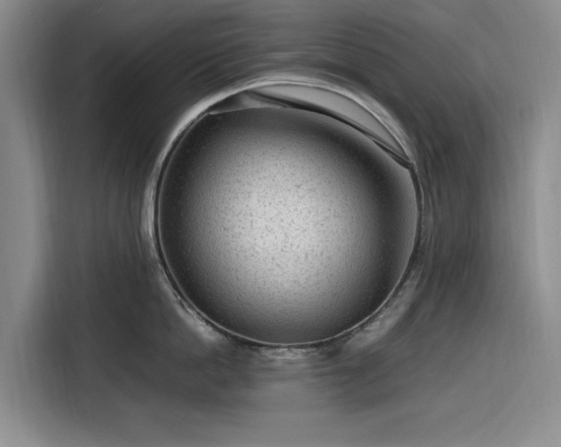 X0000116310862200912071307