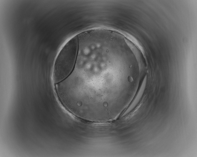 X0000116310863200912071307