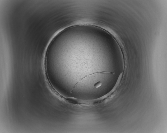 X0000116310864200912071307