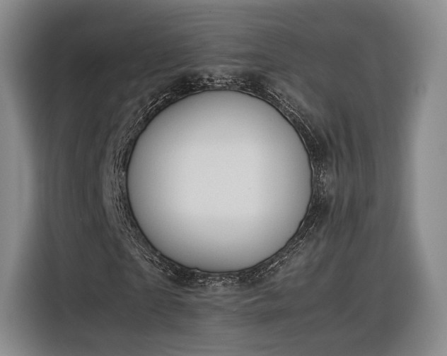 X0000116310865200912071306